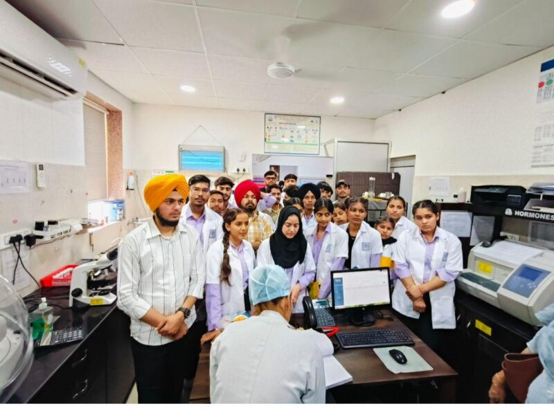 WhatsApp Image 2026-03-30 at 21.37.06 (1)