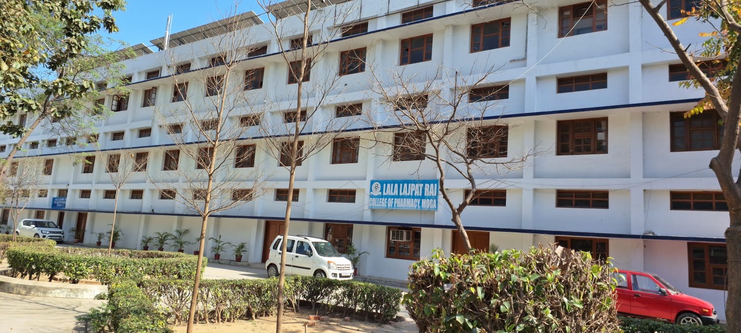 WhatsApp Image 2026-03-31 at 23.44.40